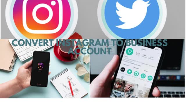 How to Convert Instagram to a Business Account — The Ultimate Guide - True North Social
