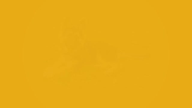 Expert German Shepherd Breeders