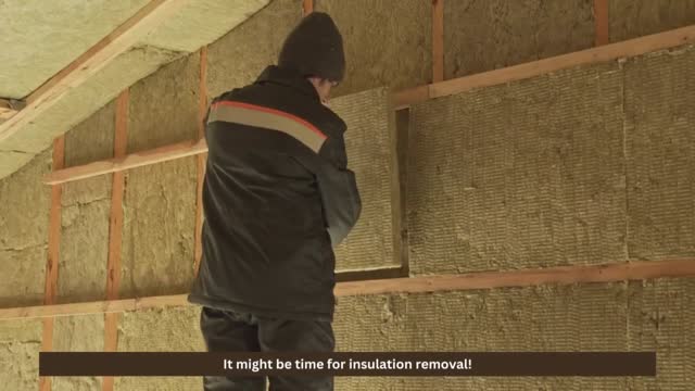 Insulation Removal | insulation removal company near me