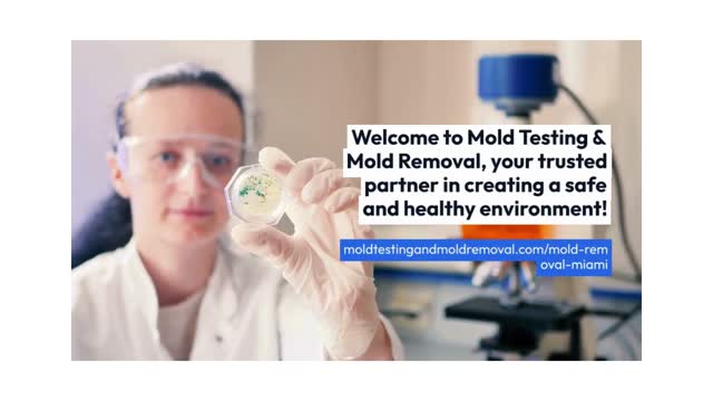 Mold Testing & Mold Removal  Miami