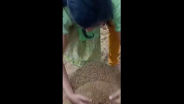 Hard Working Tiktok Girl