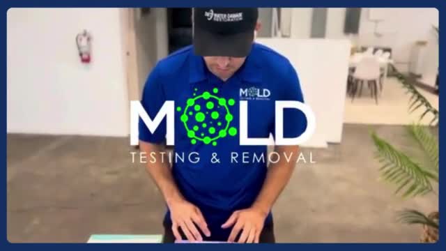 Mold inspection Los Angeles