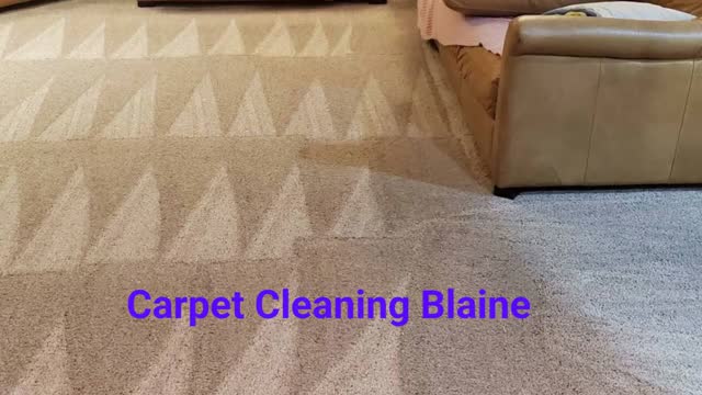 My Trusted Carpet Cleaners - Best Carpet Cleaning in Blaine, MN