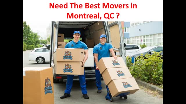 Ecoway Movers : Top-Rated Movers in Montreal, QC