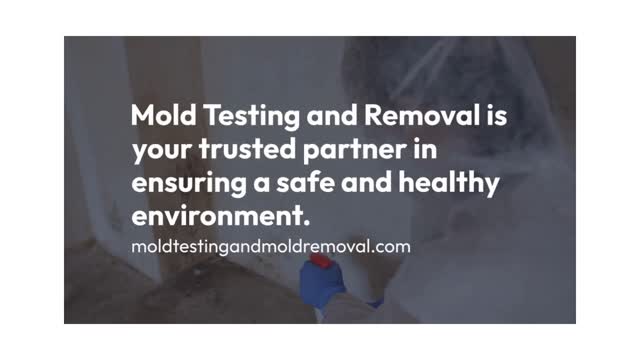 Mold Testing and MOLD REMOVAL los angeles