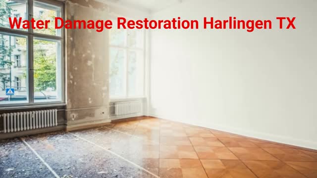 Texas Elite Restoration llc - #1 Water Damage Restoration in Harlingen, TX