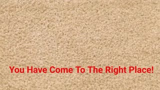 Texas Elite Restoration llc - Affordable Carpet Cleaning in Harlingen