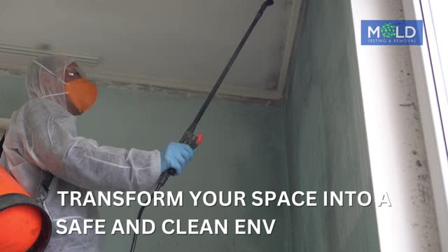 WELCOME TO MOLD TESTING AND REMOVAL