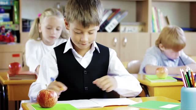 Florida Moving Companies