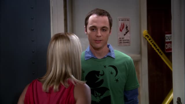 Big Bang Theory, The - S01E05 - The Hamburger Postulate (1080p) (NP)