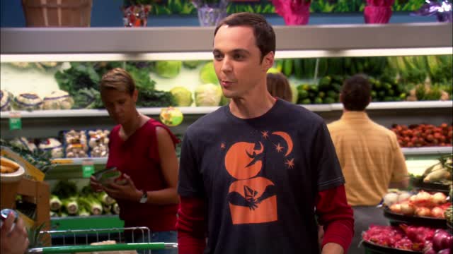 Big Bang Theory, The - S01E04 - The Luminous Fish Effect (1080p)