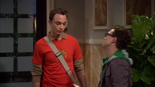 Big Bang Theory, The - S01E10 - The Loobenfeld Decay (1080p)