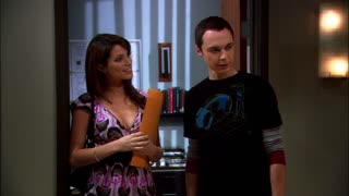 Big Bang Theory, The - S01E15 - The Pork Chop Indeterminacy (1080p) (NP)