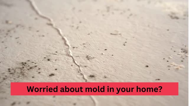 Mold inspection and testing