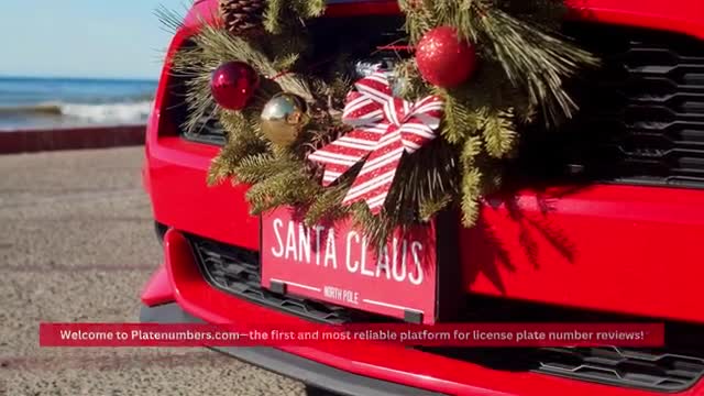 Platenumbers Instant License Plate Reviews Made Simple