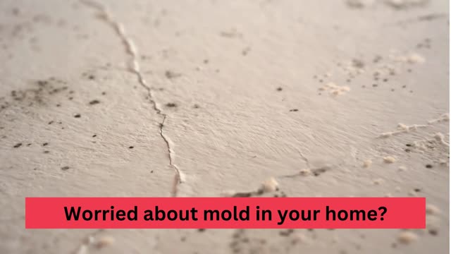 Mold inspection and testing