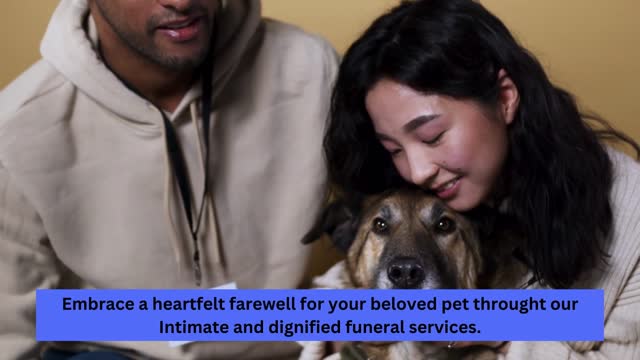 88 PetPet Memorial Services in Kuala Lumpur