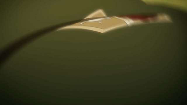 진격의 거인 #28 남서쪽으로