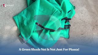 7 Smart Uses of Green Shade Net for Home & Garden