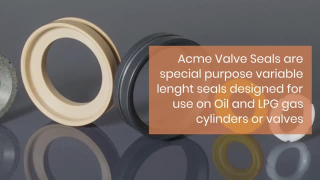 ACME Valve Seal