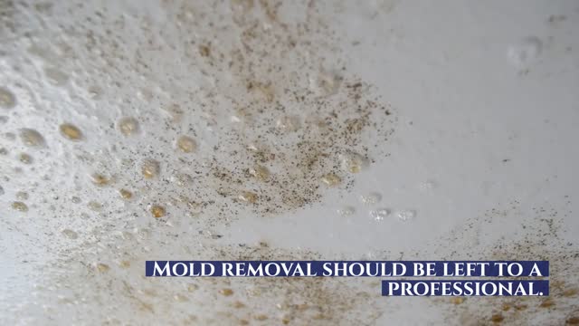 ASAP MOLD TESTING ENCINO