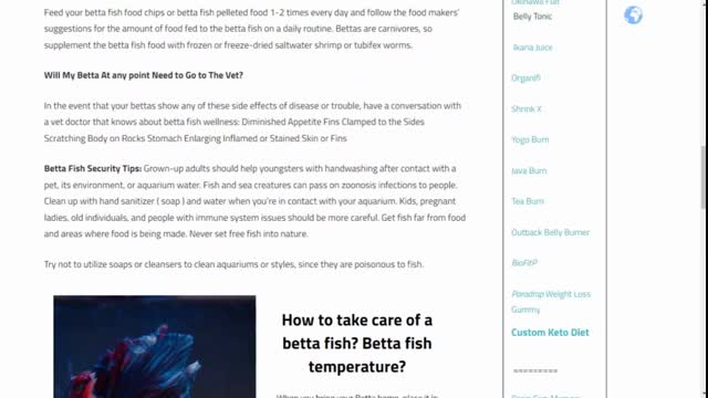 Betta Fish Things You need to Know about tanks and keeping Betta Fish