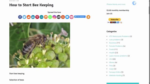 How to Start Bee Keeping (1)