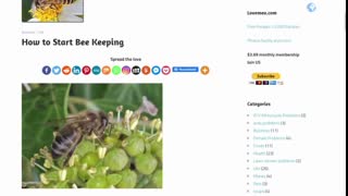 How to Start Bee Keeping (1)