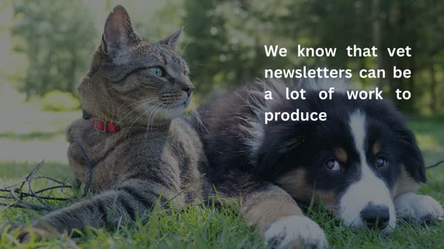 Best Vet Clinic Newsletters