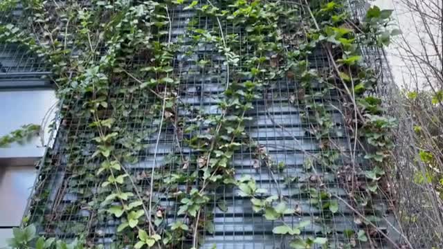 Salesforce Park_ Boasts 16,000 Plants & 600 Trees Collection