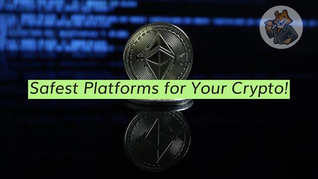 Mr. Bitcoins & raquo