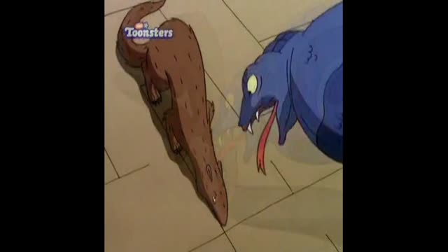 Darwin Plays the Palace clips