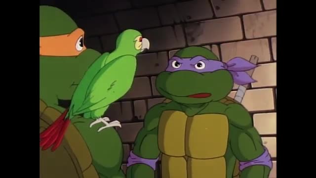 Polly wanna pizza clips