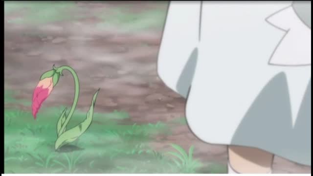 memories in the-mist clips