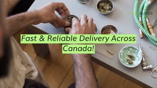 Delivery Service for Cannabis-infused Snacks in Canada