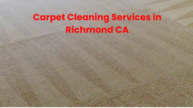 Advantage Carpet Care : Expert Carpet Cleaning Services in Richmond, CA