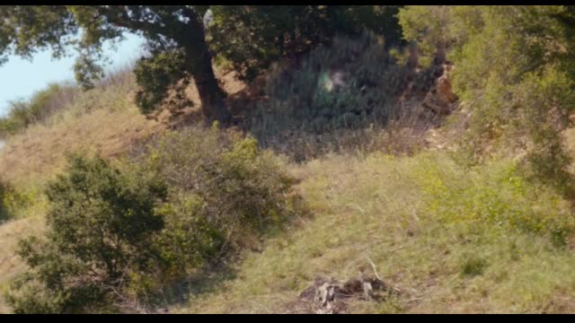 Escape Through Africa 2022