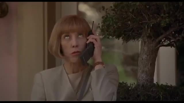 The Beverly Hillbillies 1993