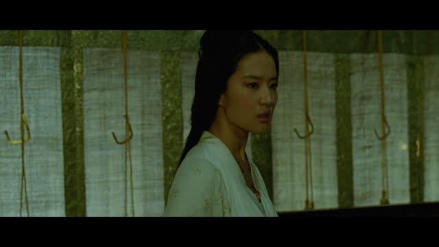 The Assassins (English Dub) (2015)