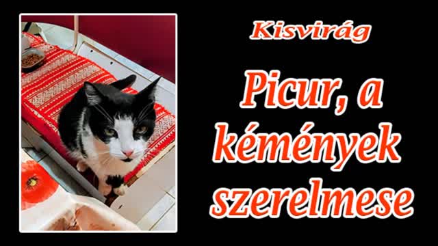 Kisvirág - Picur, a kémények szerelmese