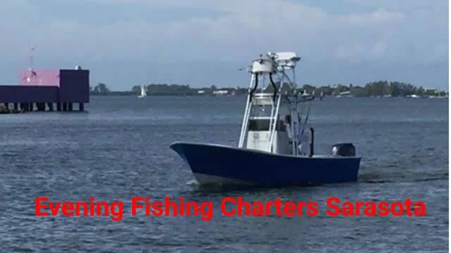 Stuart Daneman Evening Fishing Charters in Sarasota, FL