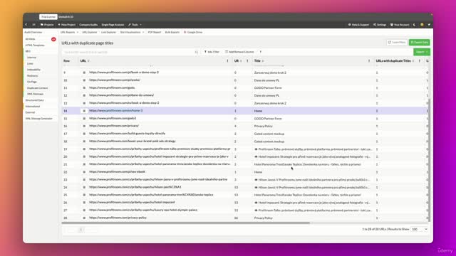 SEO1_6_3 -Analyzing the Most Important Hints in Sitebulb