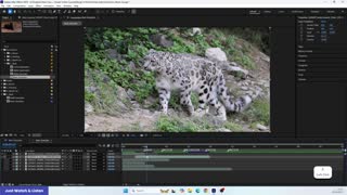 AET1_02-MasteringTransitionsInAE