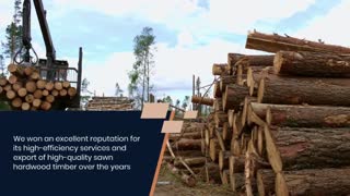 How to find high quality timber exporter