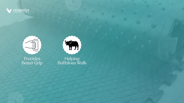 How Buffalo Rubber Mats Help Reduce Slipping & Injuries in Dairy Farms