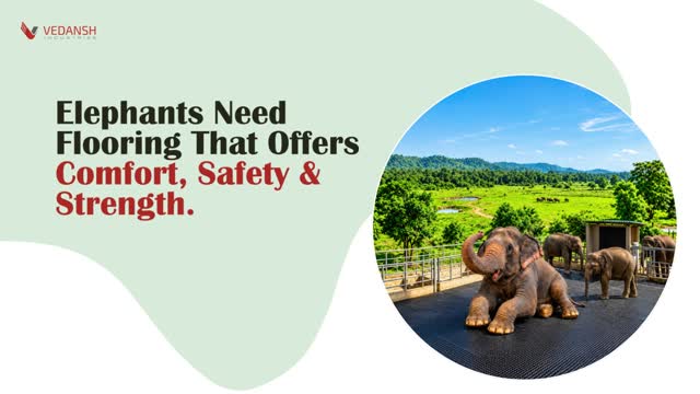 Looking for durable rubber flooring for elephants?  