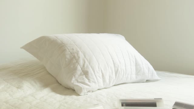 production ID_3719157