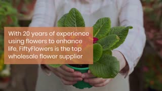 wholesale floral supplies