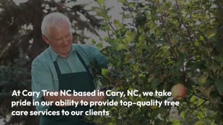 NC Tree Care Services
