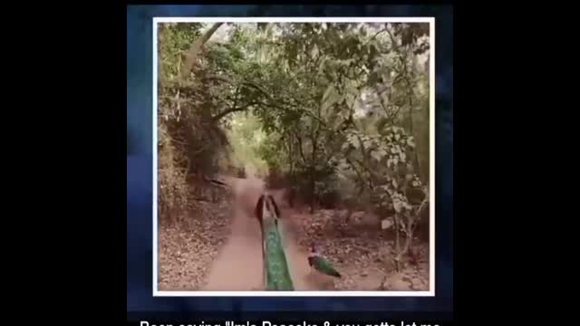 VID_47260304_150127_018